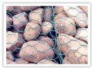 Gabions Mesh  